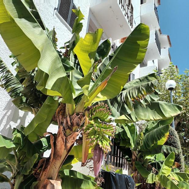 Appartamento Nora Velha T1 Tavira Esterno foto